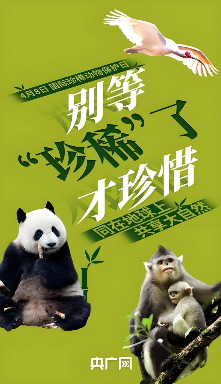 网站推广文案